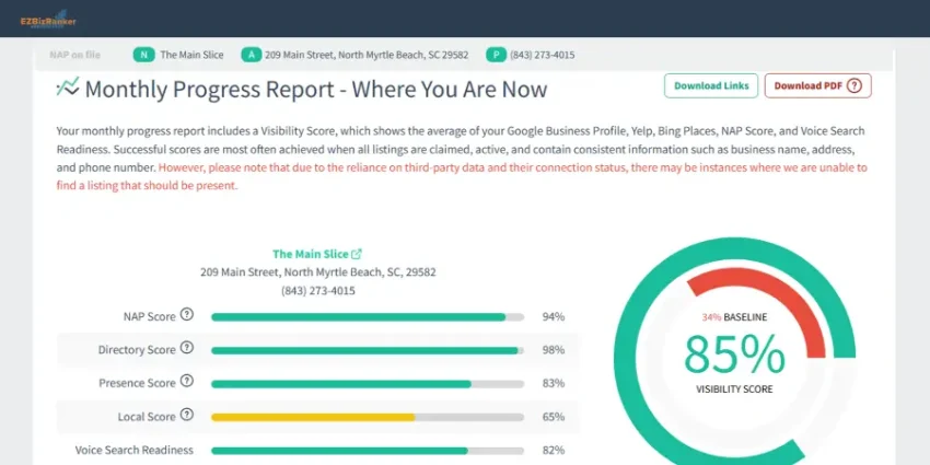 ezbizranker-monthly-progress-report